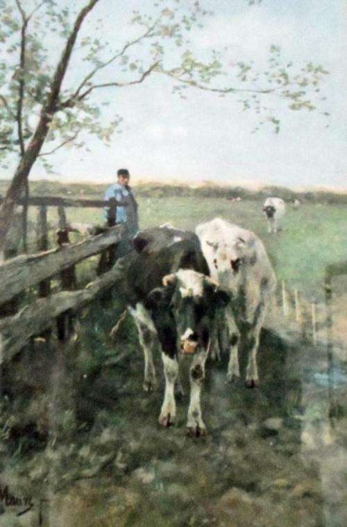 A Maury - Herding the cows - A delightful print, giveaway price!!